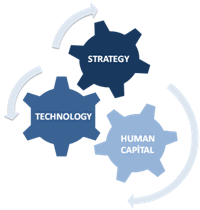 Strategy, Technology, Human Capital